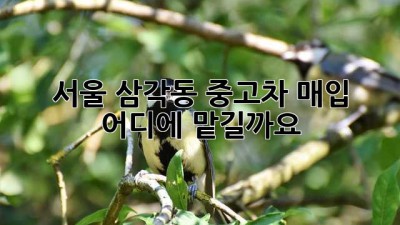 서울 삼각동 중고차 매입, 어디에 맡길까요?