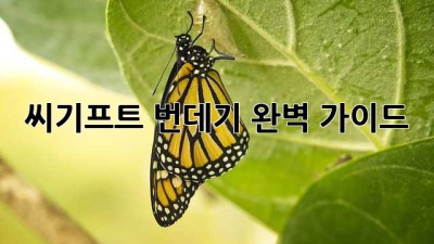 씨기프트 번데기: 완벽 가이드