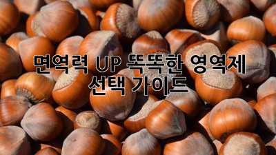 면역력 UP! 똑똑한 영역제 선택 가이드